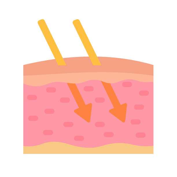 人体皮肤层用皮肤精华液保护皮肤免受日晒。图片下载