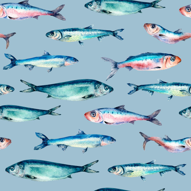 海鱼横向无缝图案水彩隔离在蓝色上。图片下载