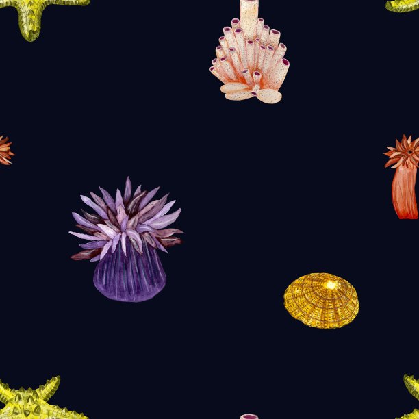 水植物贝壳海黑色图案水彩画图片下载