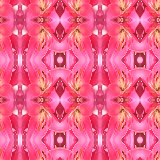 无缝模式。插图，数字绘画。百合花花坛。亮粉色的花朵。照片拼贴纺织品，棉织物，壁纸，t恤，亚麻布或包装。画水彩画图片下载