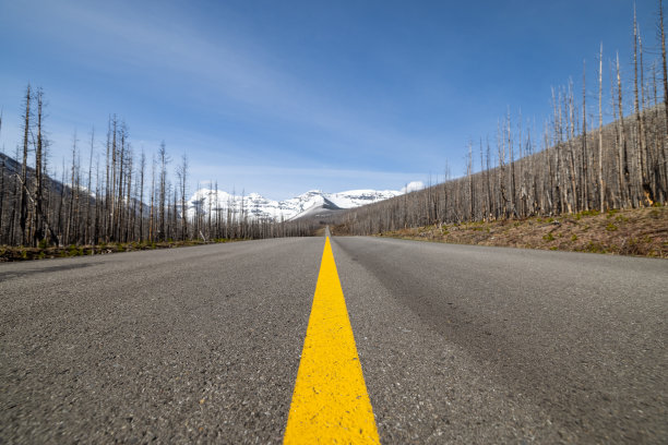 4K POV视频汽车行驶在沃特顿湖国家公园，加拿大阿尔伯塔省的道路上图片下载