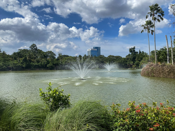 湖中央的喷泉图片下载