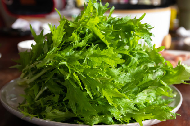 水菜或Kyona(日本水菜)与肉和汤一起放在餐桌上，是美味的涮涮汤。图片下载