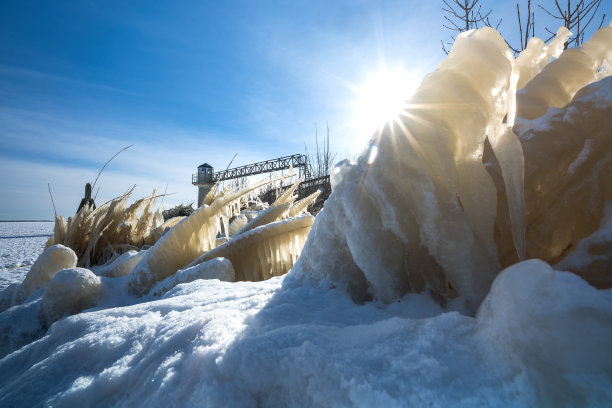美丽的照片，冰雪覆盖的植物在寒冷的湖岸在冬天。图片下载