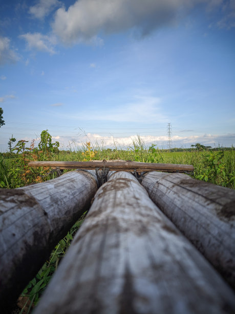 简单的桥图片下载
