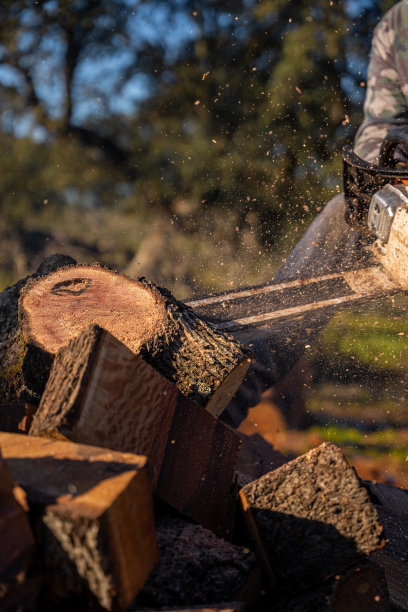 手臂拿着电锯为冬天砍柴的图像，特写图片下载