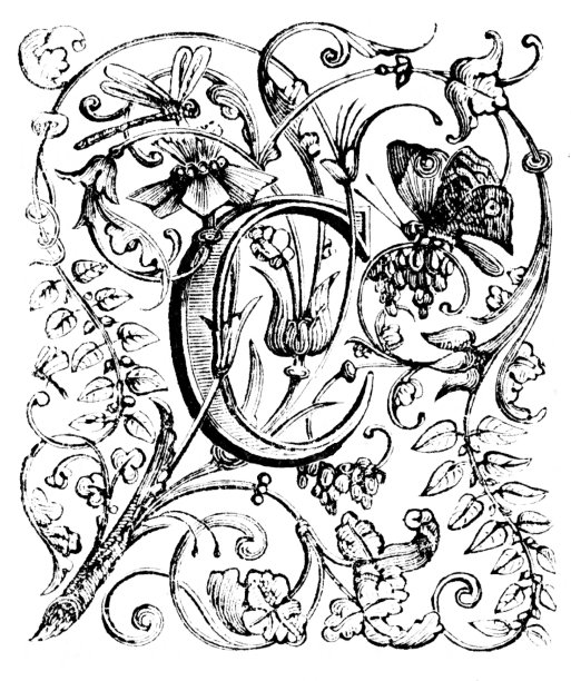 字母C，华丽的花卉设计图片下载