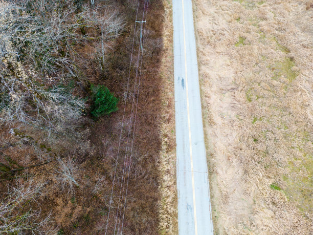 在秋天的照片中，在草地和落叶森林之间运行的偏远乡村道路图片下载