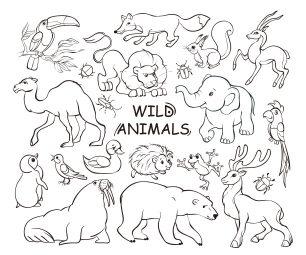 一套王尔德动物涂鸦，手绘图标插图在白色背景。旗帜传统的素描线条艺术风格。矢量卡通孤立插图。图片下载