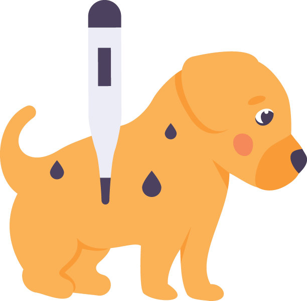 小狗得到医疗援助的概念，在医院例行检查矢量颜色图标设计，宠物和兽医符号，动物收容所标志，四条腿的朋友股票插图图片下载