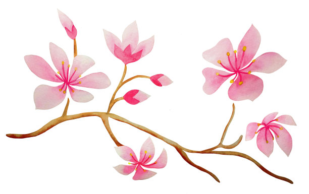 水彩樱花图片下载