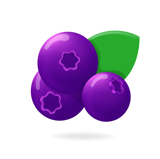 紫色蓝莓浆果和叶子。图片下载