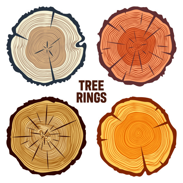 圆形彩色树干切割，锯松或橡木片，木材。锯木料，锯木头。棕色木质纹理与树木年轮。手绘草图。矢量图图片下载