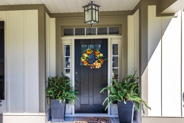 一幢新建筑的深色前门和门廊图片下载