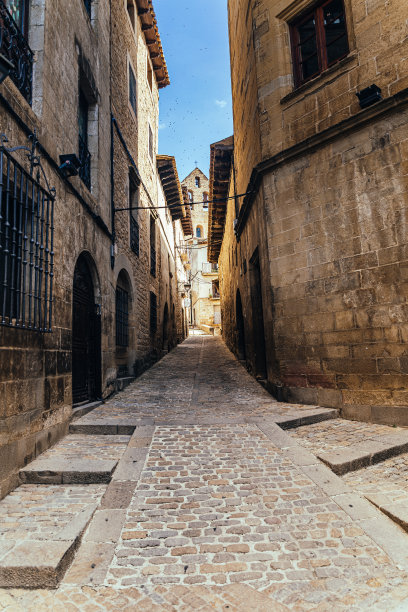 中世纪村庄，萨拉戈萨索斯德尔雷伊天主教图片下载