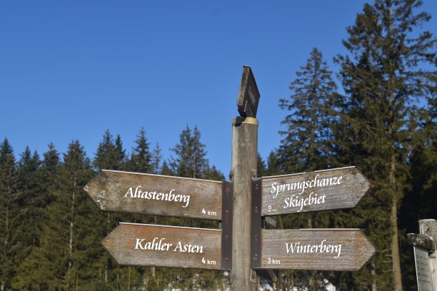 后面有蓝天和森林的方向标志图片下载