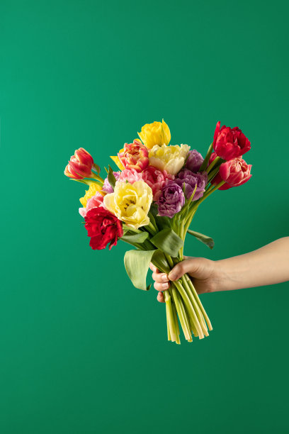 横幅。一个女人的手拿着一束美丽的郁金香，靠在绿色的墙上。图片下载