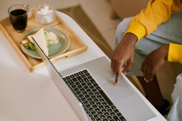 女人在家里用笔记本电脑工作图片下载