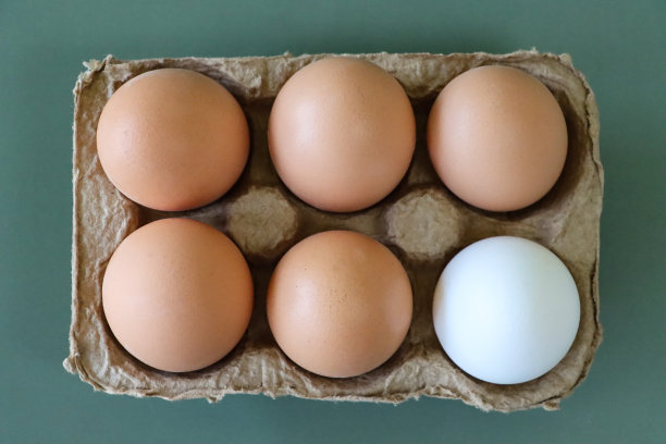 图片，打开，棕色纸箱的一打鸡蛋，一批六个鸡蛋，一个白色的鸡蛋包围着五个棕色的鸡蛋，混合颜色的鸡蛋，白色和棕色的壳，奇数的概念，绿色背景，高视图图片下载
