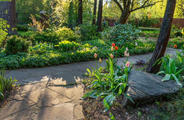 小屋旁边花园的惊人景色:莫斯科州繁荣的Nemchinivka村的奇妙五月，非常靠近莫斯科图片下载