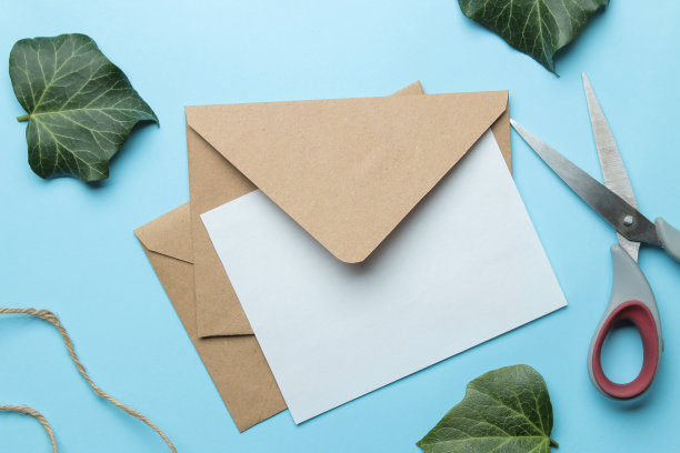工艺信封和形式的文本和绿叶在明亮的时尚浅蓝色背景。俯视图图片下载