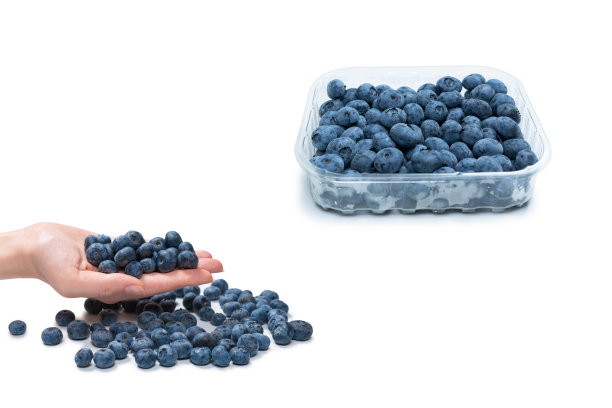 蓝莓保存在白色背景上。图片下载