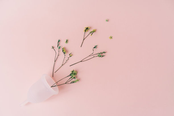 俯视图干红花在白色月经杯对粉红色的背景图片下载