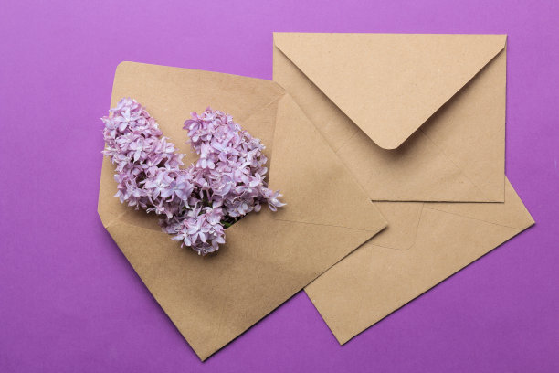 在明亮时尚的淡紫色背景上插一支淡紫色。俯视图图片下载