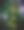 罗勒植物图片下载