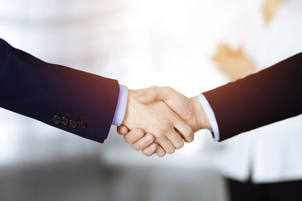 商务人士在会议或谈判中握手，特写。一群不知名的商人和一个女人站在一个阳光明媚的现代办公室里。团队合作，合作和握手的理念图片下载
