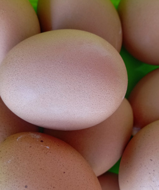 在碗里堆鸡蛋图片下载