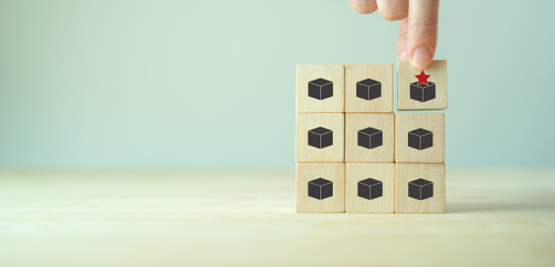 差异化战略概念。提供独特性，区别于竞争对手，创造竞争优势。特殊，限量，独家，VIP，定做，定制产品图片下载