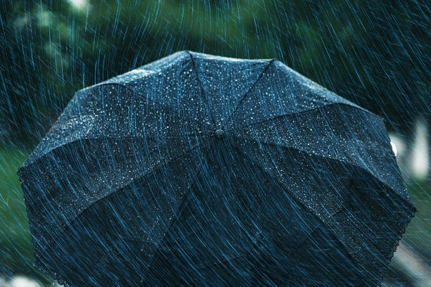 黑色的伞。下雨了。雨滴。湿图片下载