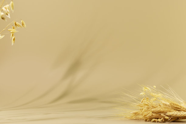 米色背景上的自然基座带有黑麦和小麦穗的花束图片下载
