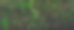绿色生态墙概念。石墙背景上的绿色观赏植物。可持续建筑。亲近自然。用于装饰花园的外部建筑。环保建筑。干净的环境。图片下载