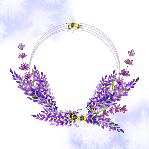 水彩薰衣草花环，框架。春天薰衣草花环和蜜蜂水彩画插图。空白模板的明信片，邀请和问候。图片下载