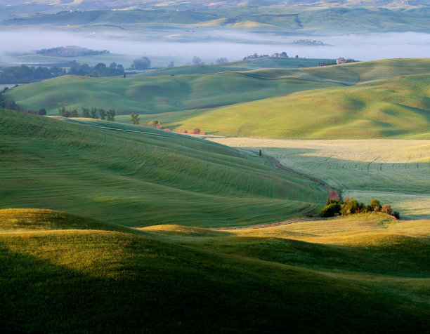 春天的托斯卡纳。图片下载