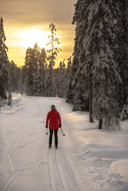 女子越野滑雪图片下载