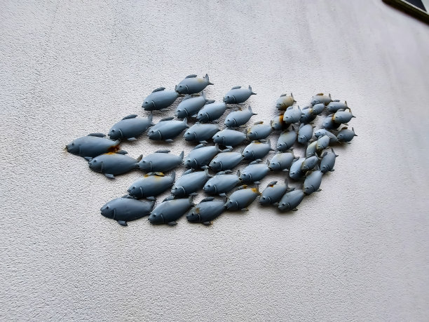 墙上装饰着一群鱼图片下载