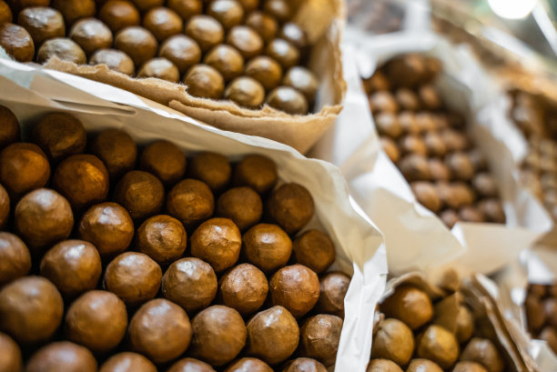 近距离的大纸包新鲜手卷高级古巴雪茄在玻璃盒在商店。买世界上最好的雪茄图片下载