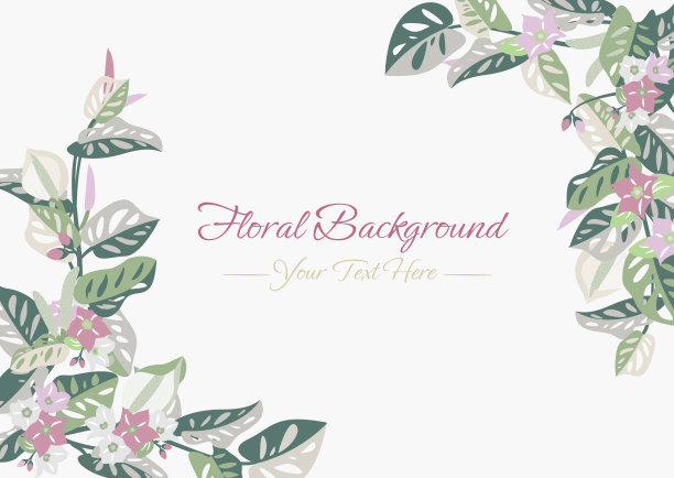 蒙斯特拉叶与彩色花矢量框架图片下载