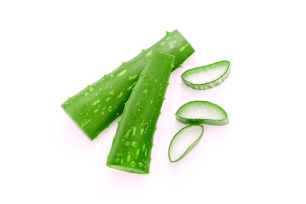 绿色芦荟叶子有水滴，白色背景上有切片。图片下载