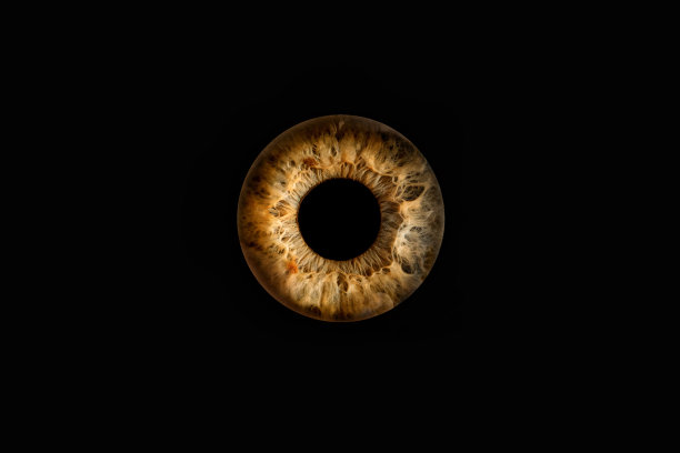 人类眼睛的微距镜头图片下载