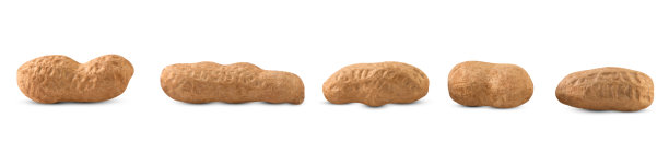 白色背景上孤立的一组带壳花生。图片下载