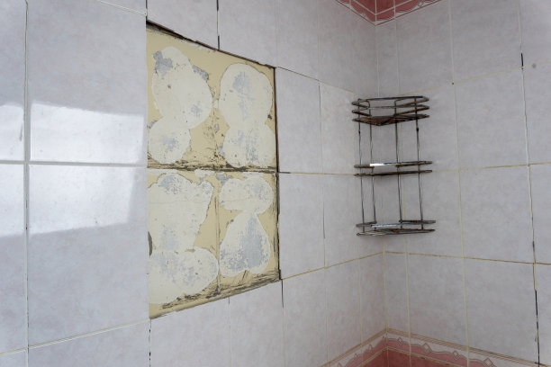破旧的浴室，瓦片掉落。一个旧架子。一面剥落的墙图片下载