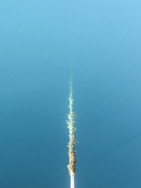 游艇系泊绳索图片下载