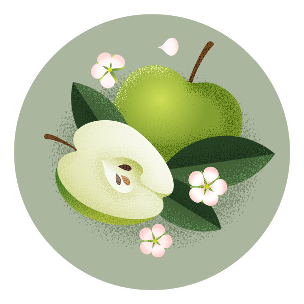 青苹果全切苹果籽花声图片下载