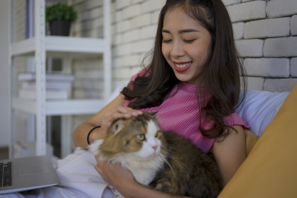 年轻女子和猫呆在家里。图片下载