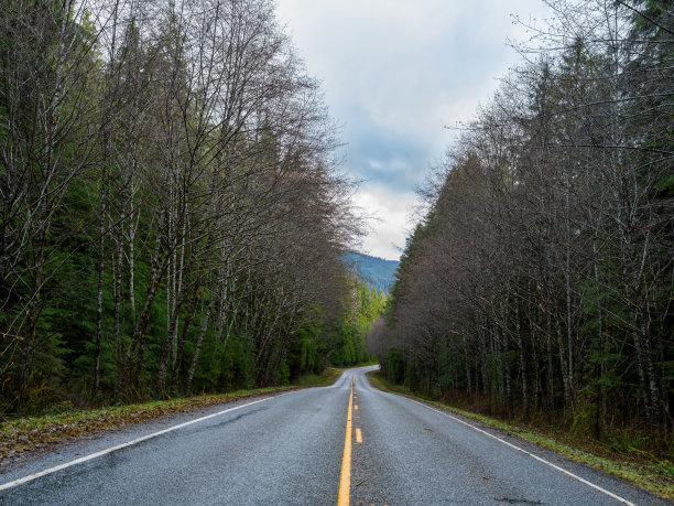 华盛顿州风景优美的乡村道路图片下载