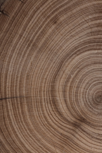 纹理背景的精细自然实值视图。图片下载